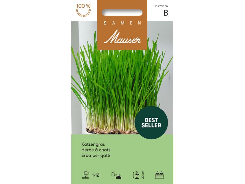 Samen Mauser | Katzengras 25g