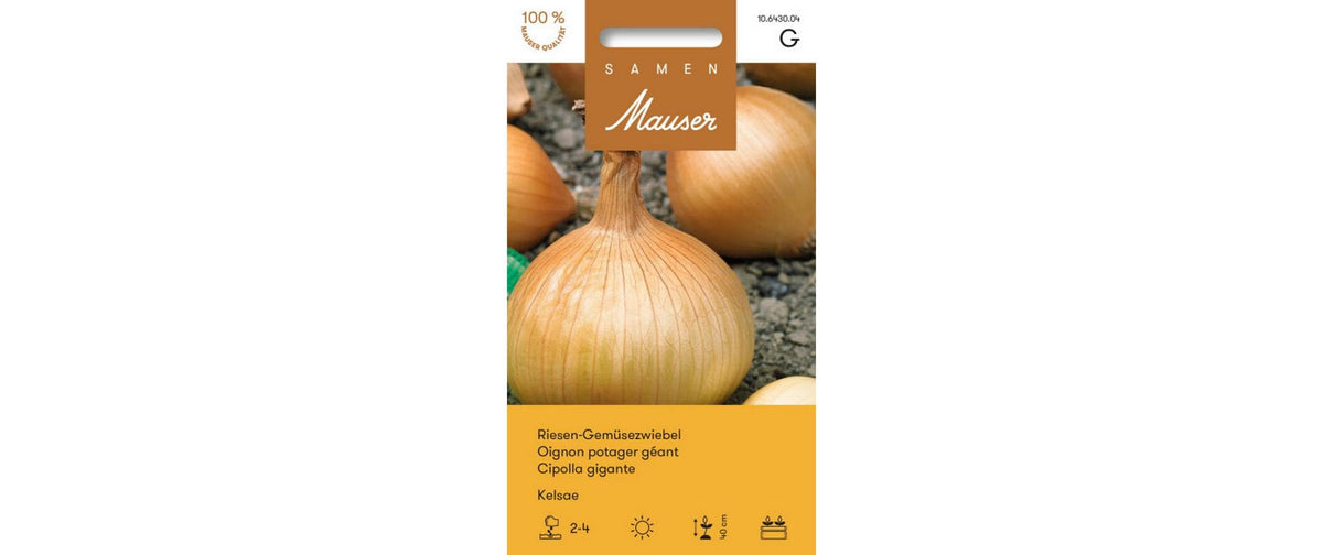 RiesenGemüsezwiebel Kelsae