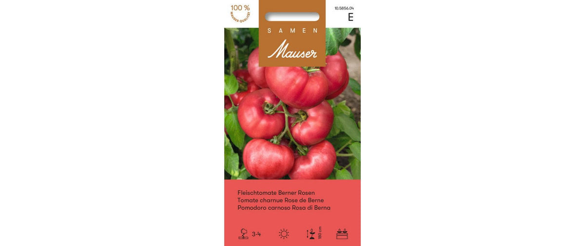 Fleischtomate Berner Rosen