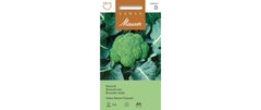 Broccoli Geba Stamm Coastal