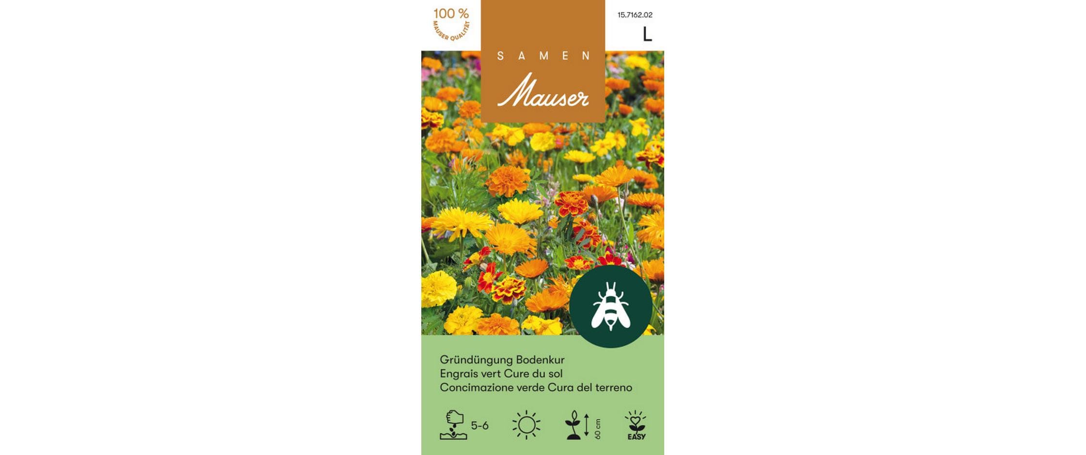 Gründüngung Bodenkur 50 g