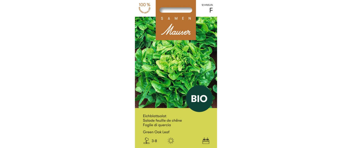 Samen Mauser Eichblattsalat