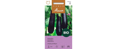 Samen Mauser Aubergine