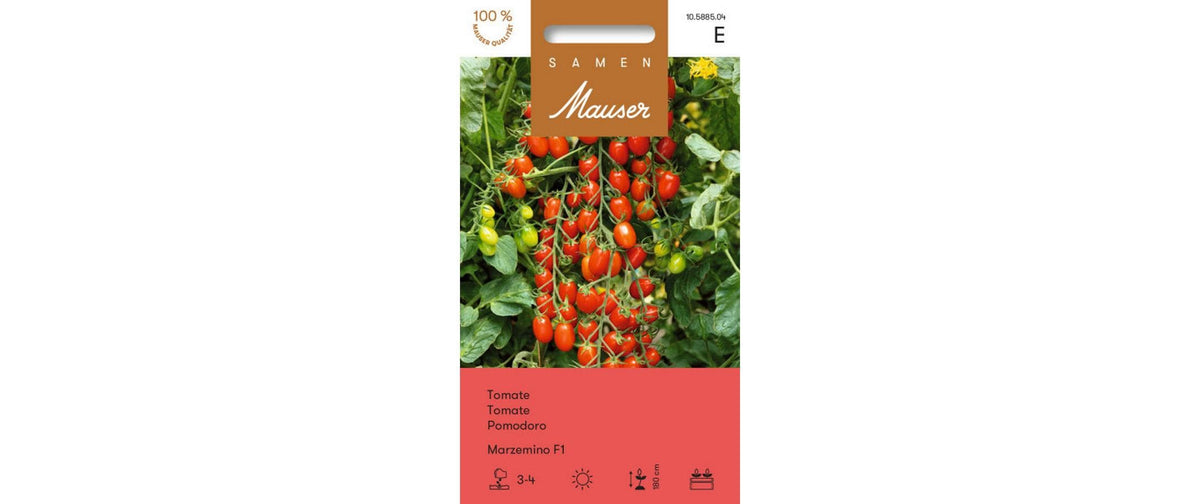 Tomate Marzemino F1