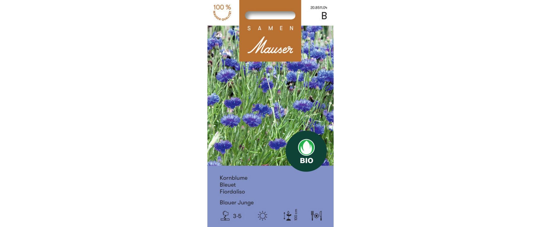 Samen Mauser Kornblume Blauer Junge