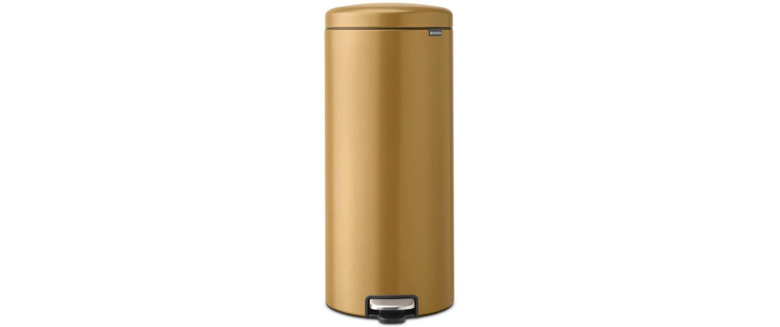Brabantia NewIcon Treteimer 30 Liter
