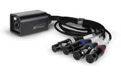 Palmer | Audio over Cat Adapter PAOCLXLRF