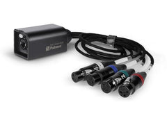 Palmer | Audio over Cat Adapter PAOCLXLRF