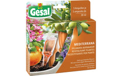 Mediterrana Pflanzen Aufbaukur (5x30 ml)