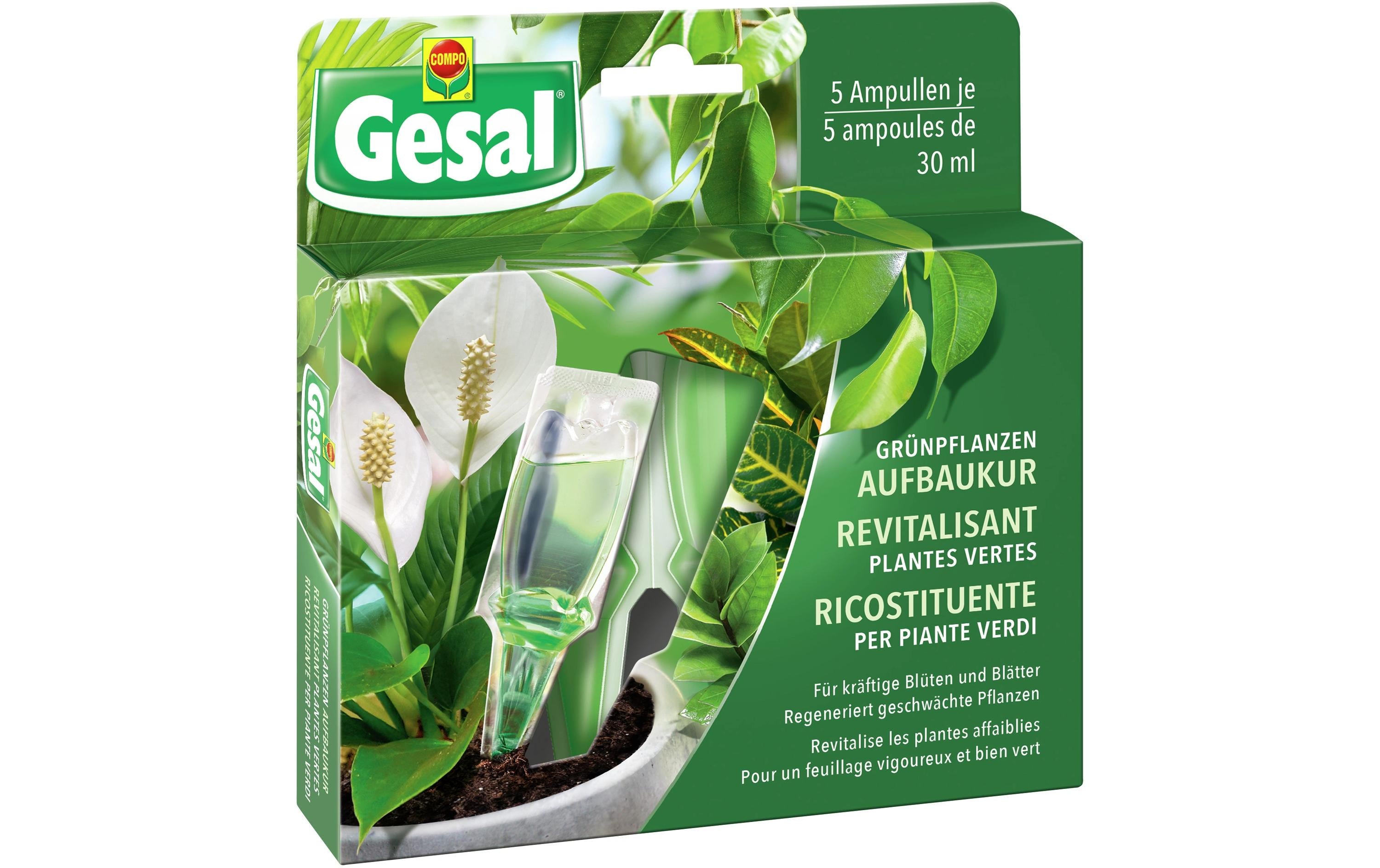 Grünpflanzen Aufbaukur 5x30ml