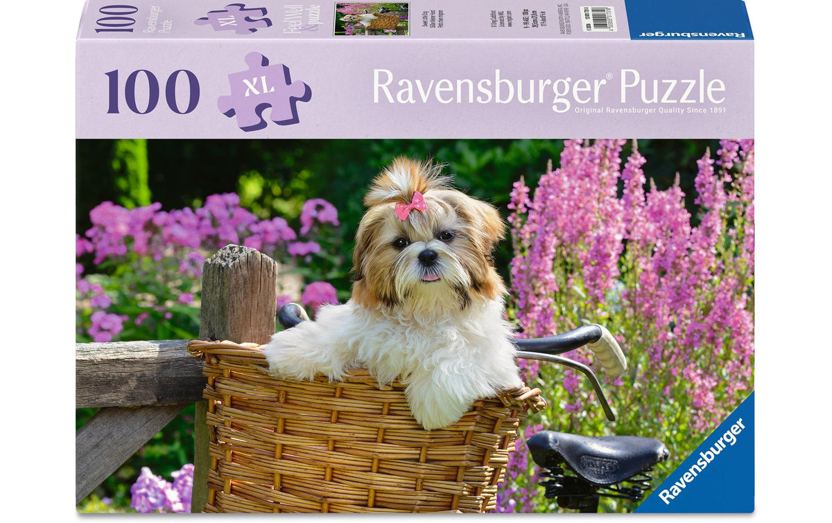 Süsser kleiner Hund