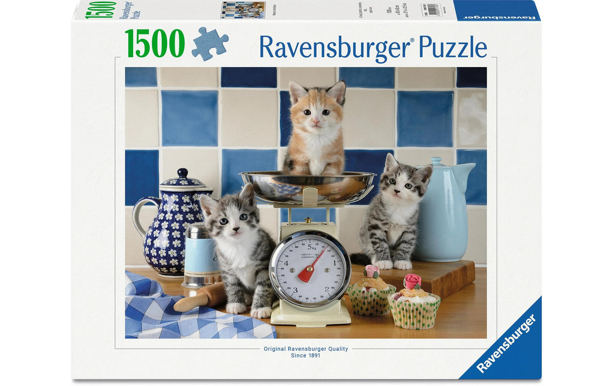 Kätzchen in der Küche