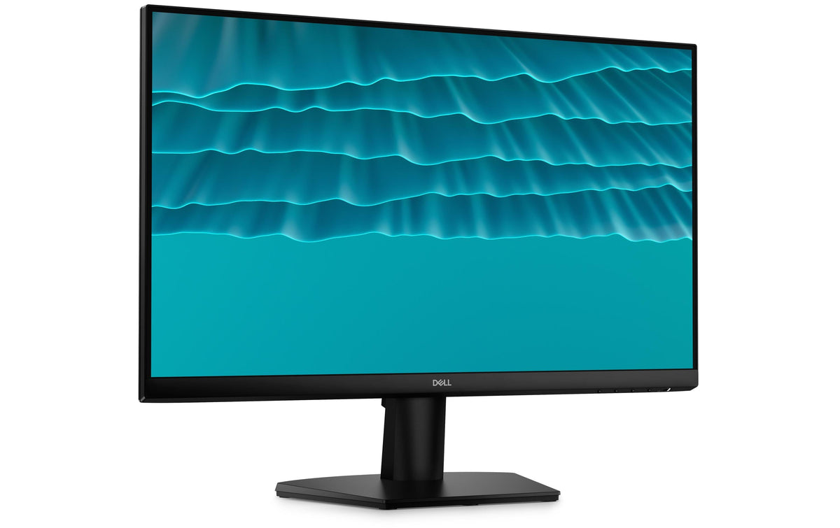 Dell 24