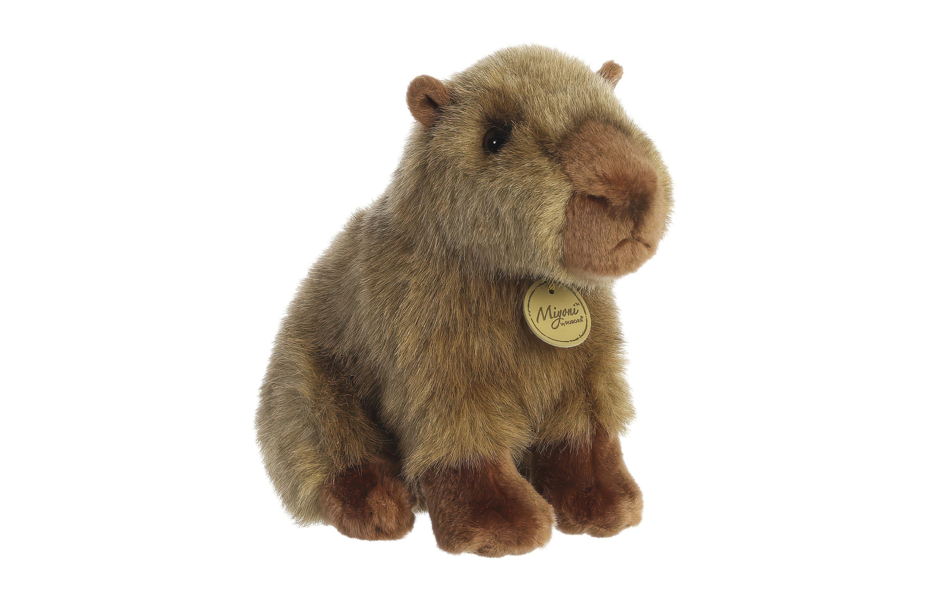 MiYoni Capybara