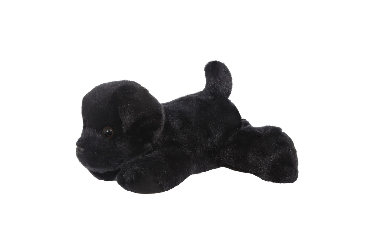 MF Blackie Black Labrador