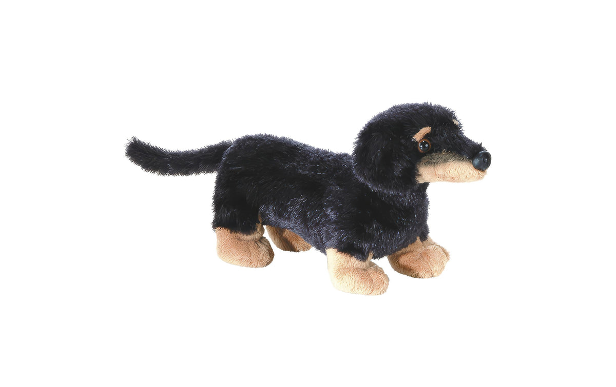 MF Vienna Dachshund