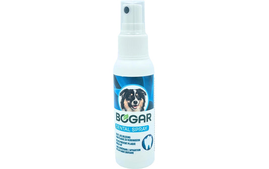 bogadent DENTAL CARE SPRAY