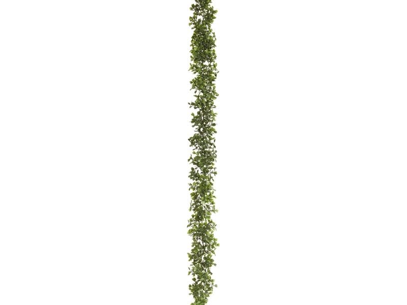 Botanic-Haus | Buchsbaumgirlande | 180 cm