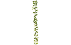 Botanic-Haus | Efeugirlande | 180 cm