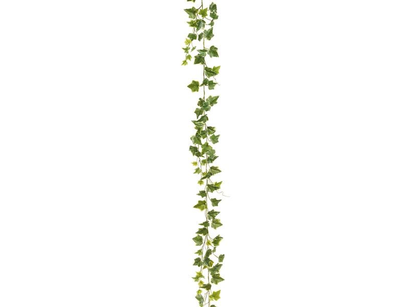 Botanic-Haus | Efeugirlande | 180 cm