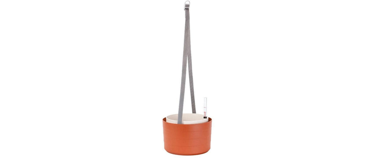 Bewässerungshängeampel Berberis 26 cm