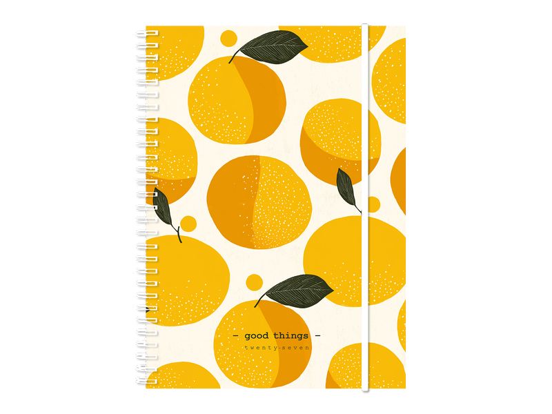 Simplex | Wochenagenda Harmony 2027 | 1 Woche/2 Seiten, 148x210mm, Birds