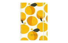 Simplex | Wochenagenda Harmony 2027 | 1 Woche/2 Seiten, 148x210mm, Birds