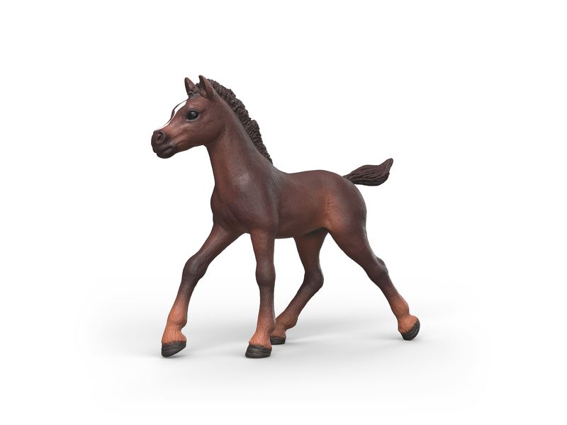 Schleich | Sammelfohlen Ravi