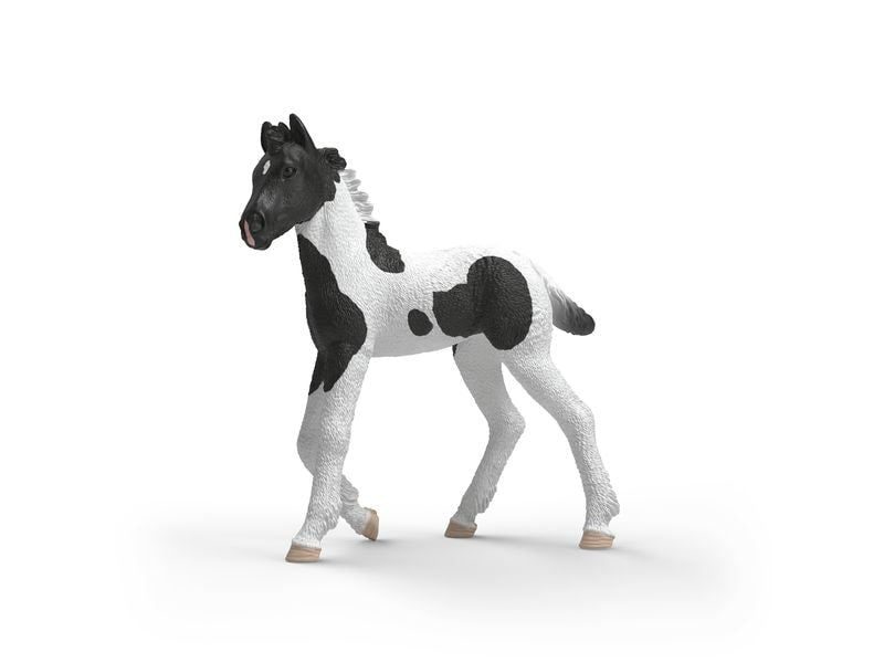 Schleich | Sammelfohlen Rocky