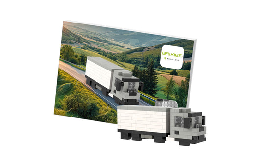 BRIXIES | LKW | 161 bricks