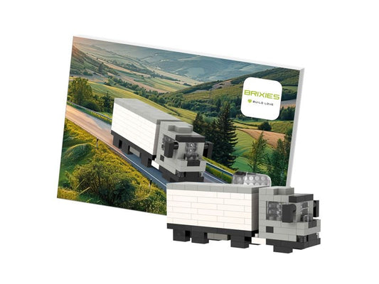 BRIXIES | LKW | 161 bricks
