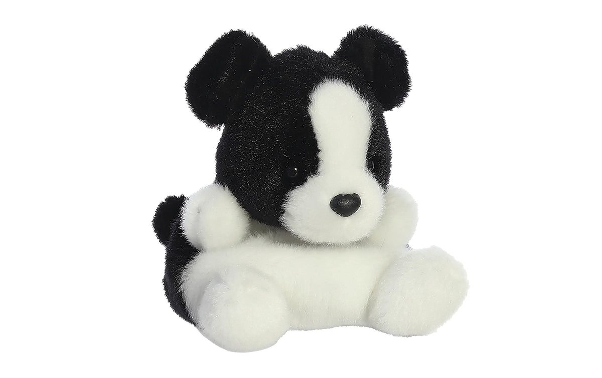 PP Brodie Collie Dog