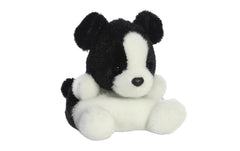 PP Brodie Collie Dog