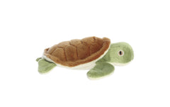 Eco Nation Mini Turtle