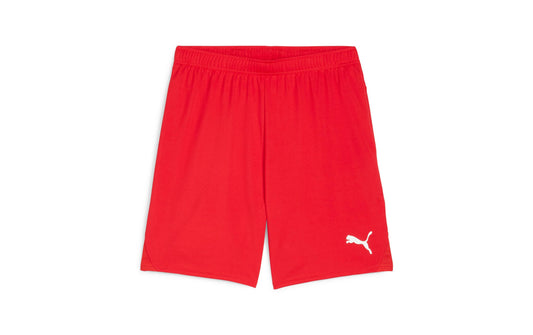 PUMA Shorts teamGOAL