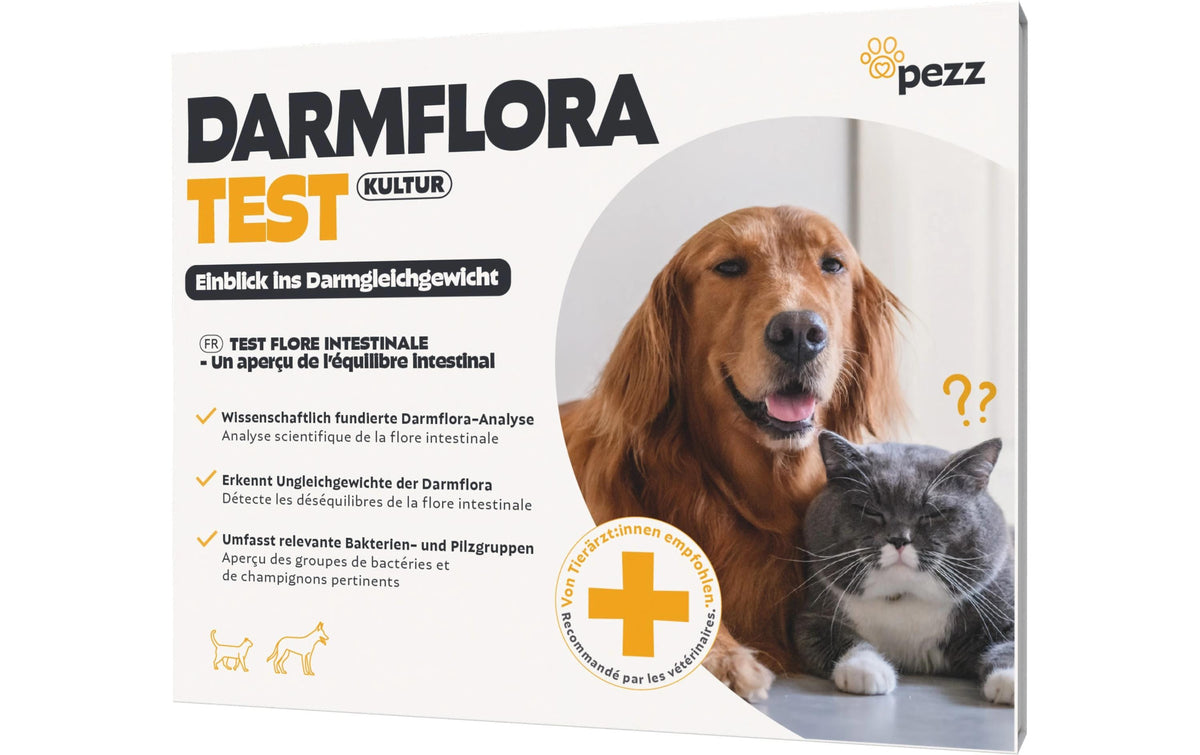 Pezz Darmfloratest