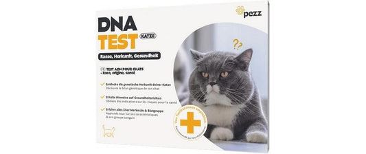 Pezz DNA-Test Rassebestimmung Katze