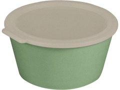 Koziol | Schale Move Box mit Deckel | nature leaf green, 2.2 l