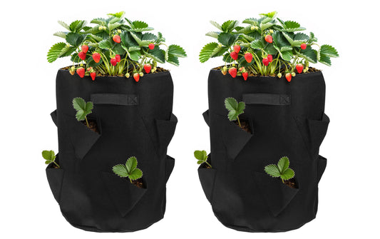 STRUCT Pflanzentasche Erdbeeren 2er Set