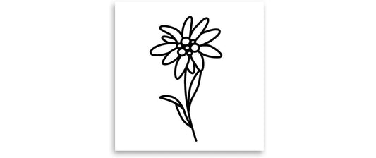 minink | Tattoo Edelweiss Blume | Grösse: S (2.4 cm x 4.2 cm)