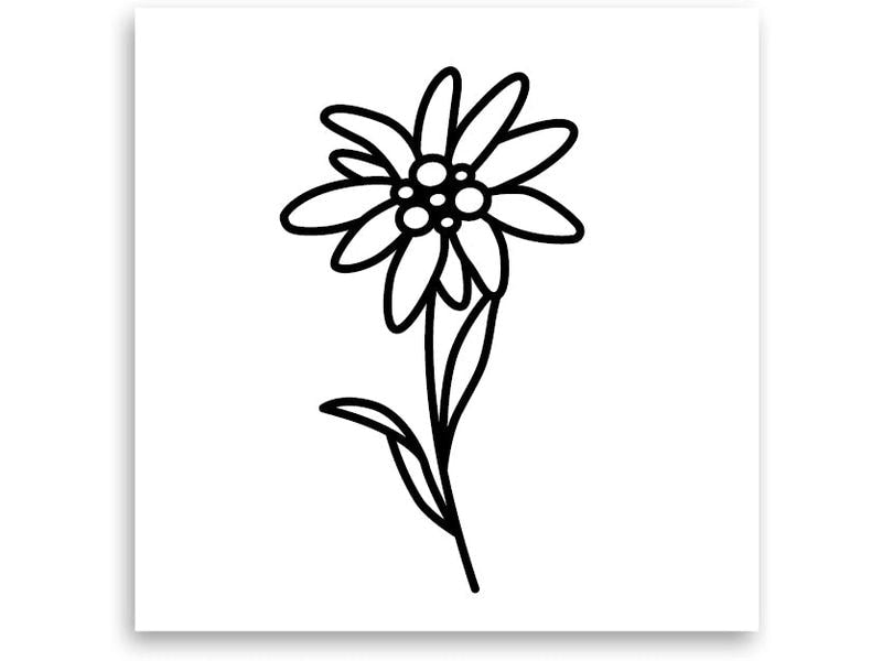 minink | Tattoo Edelweiss Blume | Grösse: S (2.4 cm x 4.2 cm)