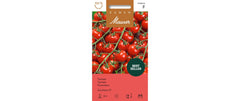 Samen Mauser | Tomate Zucchero F1