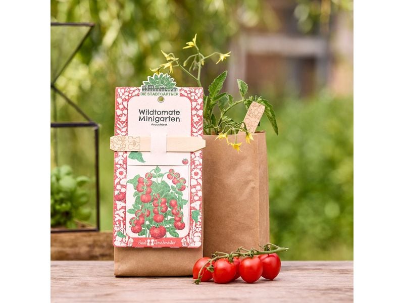 Die Stadtgärtner | Stadtgärtner Anzuchtsset | Wildtomate - BIO