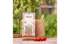 Die Stadtgärtner | Stadtgärtner Anzuchtsset | Wildtomate - BIO