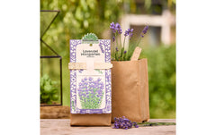 Die Stadtgärtner | Stadtgärtner Anzuchtsset | Lavendel - BIO