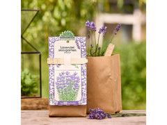 Die Stadtgärtner | Stadtgärtner Anzuchtsset | Lavendel - BIO