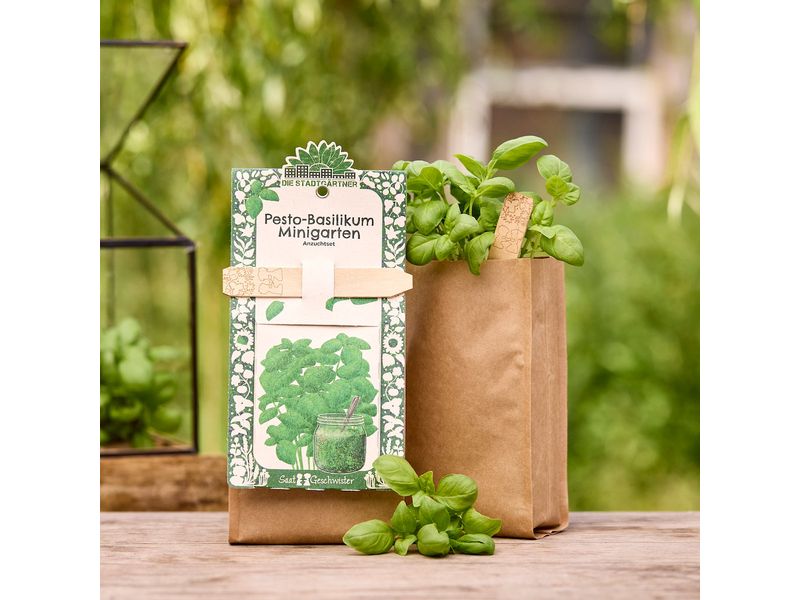 Die Stadtgärtner | Stadtgärtner Anzuchtsset | Pesto-Basilikum - BIO