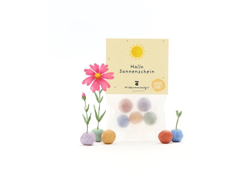 Die Stadtgärtner | Stadtgärtner Blumenmurmeln | Hallo Sonnenschein