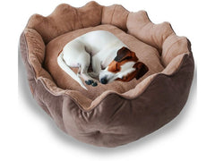 Paws & Whiskers | Bett rund | Braun, 44 x 38 x 12 cm