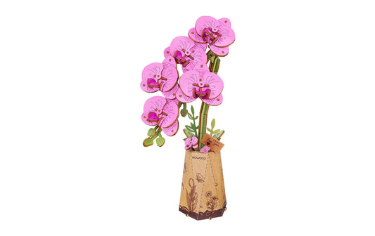 Rowood | Purple Moth Orchid | Robotime Bausatz